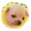 ස්ටිකර්