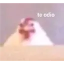 ස්ටිකර්