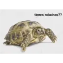 ස්ටිකර්