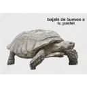 ස්ටිකර්