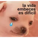 ස්ටිකර්