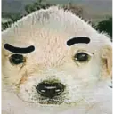 ස්ටිකර්