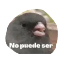 ස්ටිකර්