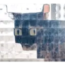 ස්ටිකර්