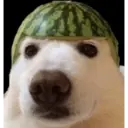 ස්ටිකර්