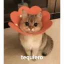 ස්ටිකර්