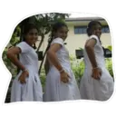 ස්ටිකර්