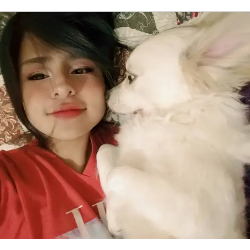 Կպչուն պիտակ