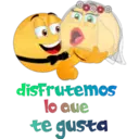 ස්ටිකර්